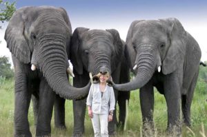 Jan Brett with elephants